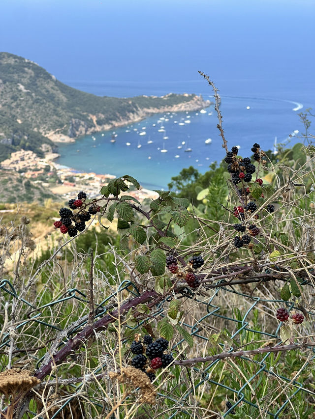 Sail into the Mediterranean charm of Isola del Giglio!
