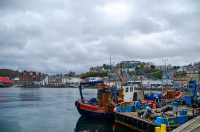 🍺 Oban – Scotland’s Little Bay with Big Flavors