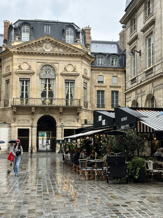 History & Monumental Paris: Chic Cultural Stroll