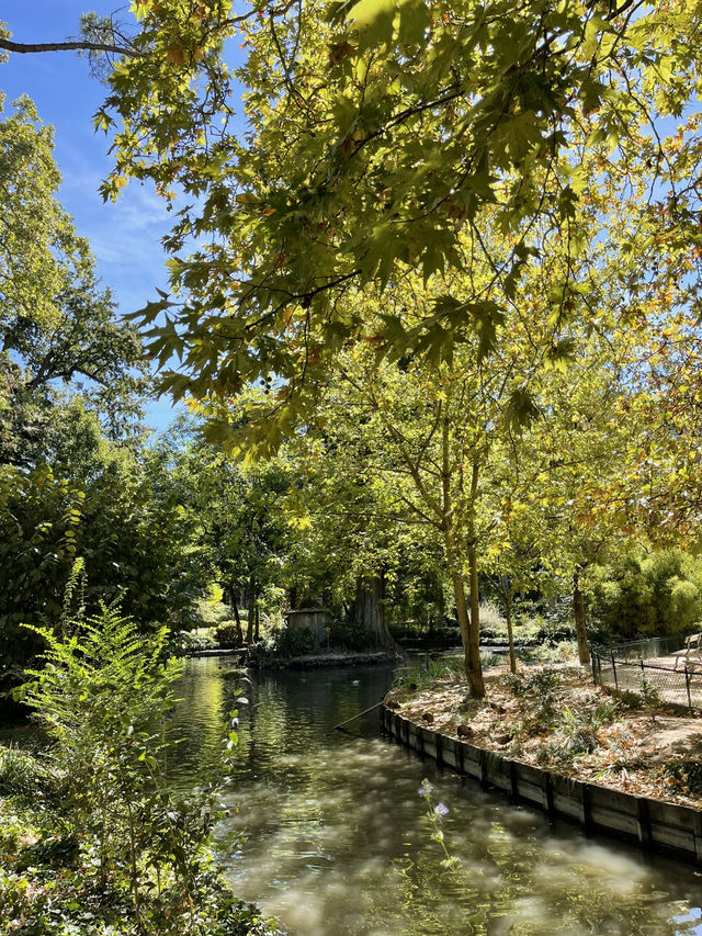 Toulouse River: Garonne’s Charm & Riverside Strolls 🌊🌿✨