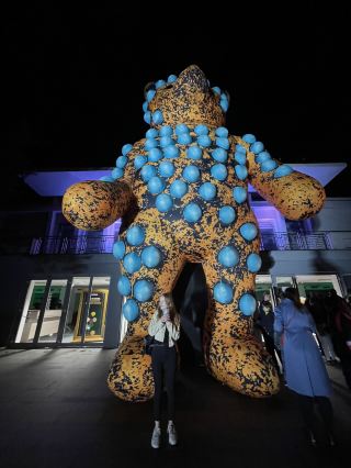 🎆 White Night Košice – คืนแห่งแสงและศิลปะ 🌙✨