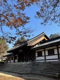 Autumn Suwon Vibes🍂