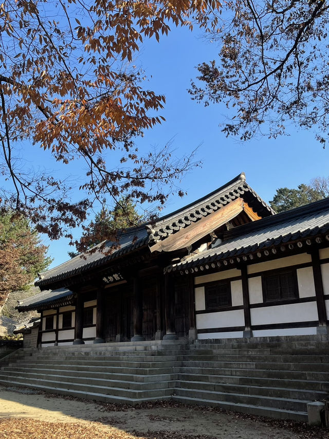 Autumn Suwon Vibes🍂