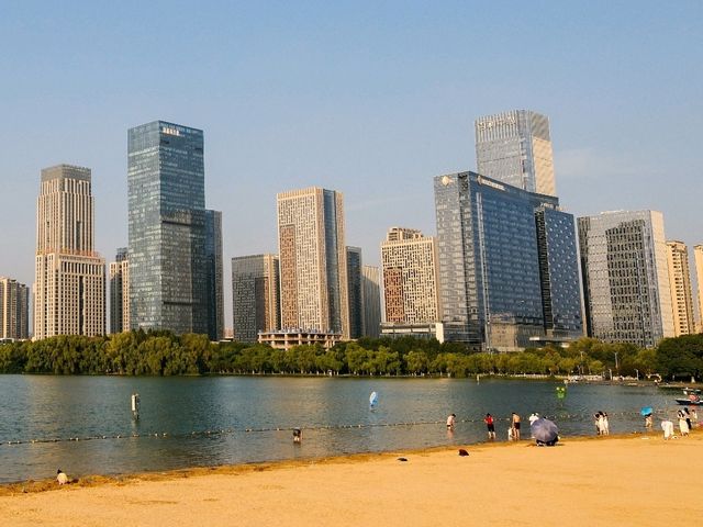 Swan Lake, Hefei Beach Edition 🦢🌅
