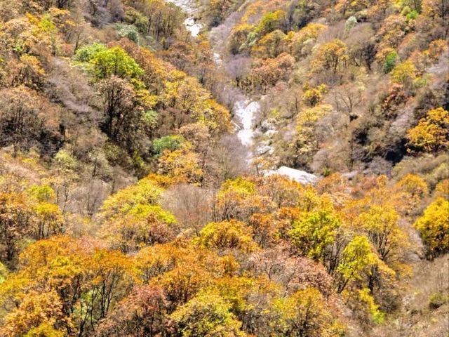 Autumn Majesty at Mount Wutai 🍂🏔️