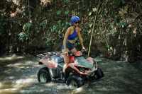 🌿Only Have 1 Day in Ubud? Do This