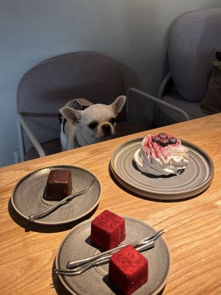 이르쿠츠크 카페 어디로 갈까? ☕️