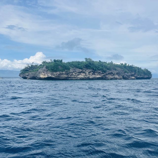 Island hopping in the beautiful Moalboal 🇵🇭