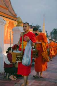 Luang Prabang morning alms giving | Feel the wonderful atmosphere with the monks