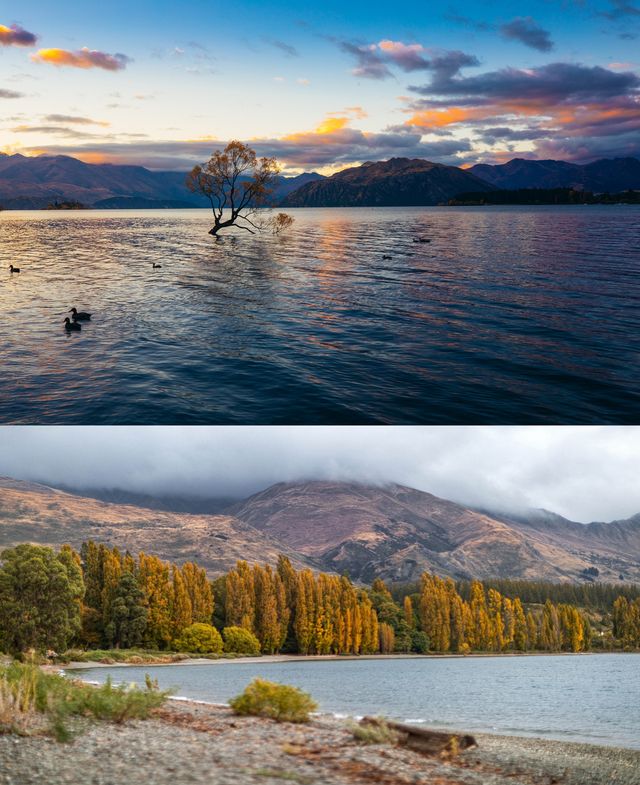 New Zealand self-driving, the wonderful experience you can't miss in your life. New Zealand self-driving, the wonderful experience you can't miss in your life.