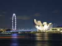 🇸🇬濱海灣的夜景，超正