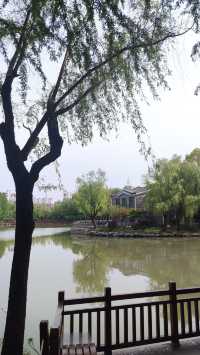 Pudong Jinqiao Park, the backyard of nearby residents, 30.