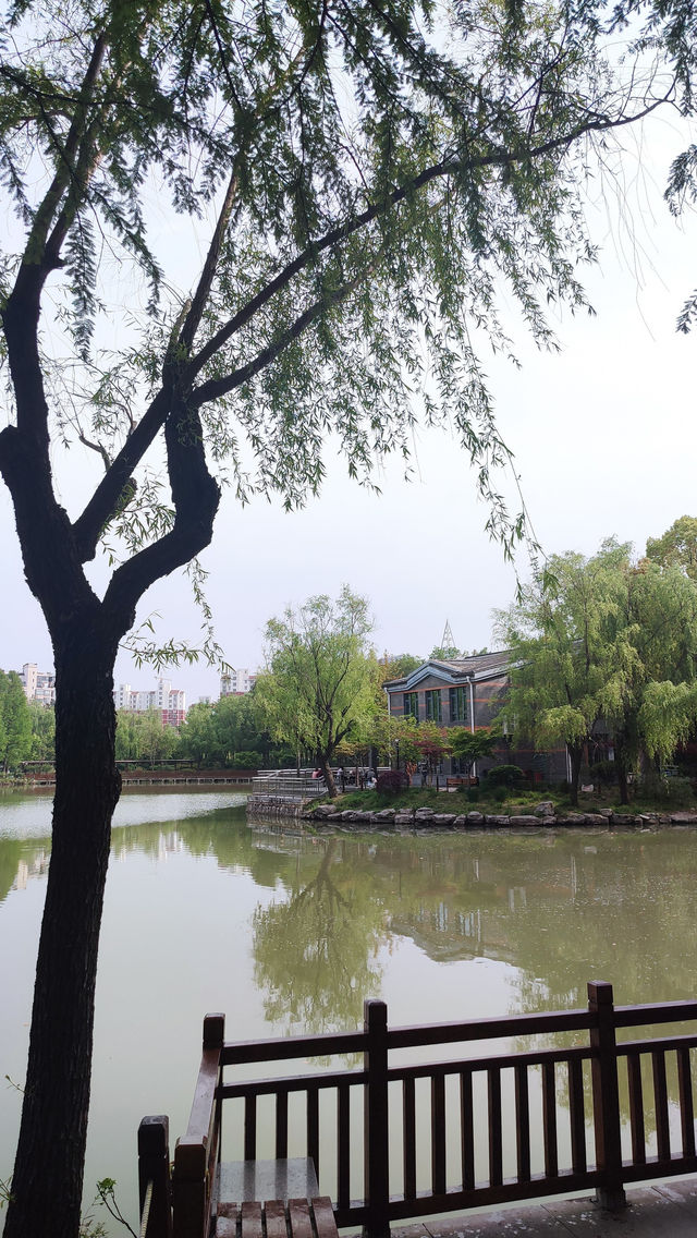 Pudong Jinqiao Park, the backyard of nearby residents, 30.