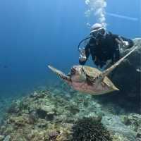 Down in the deep blue sea, my first Scuba