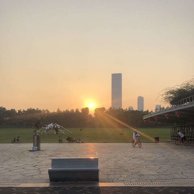 The best way to see the Shenzhen Skyline 
