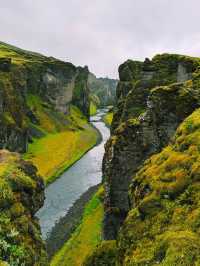 Island’s Must Visit- Fjaðrárgljúfur Canyon🇮🇸