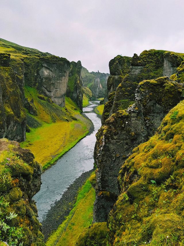 Island’s Must Visit- Fjaðrárgljúfur Canyon🇮🇸