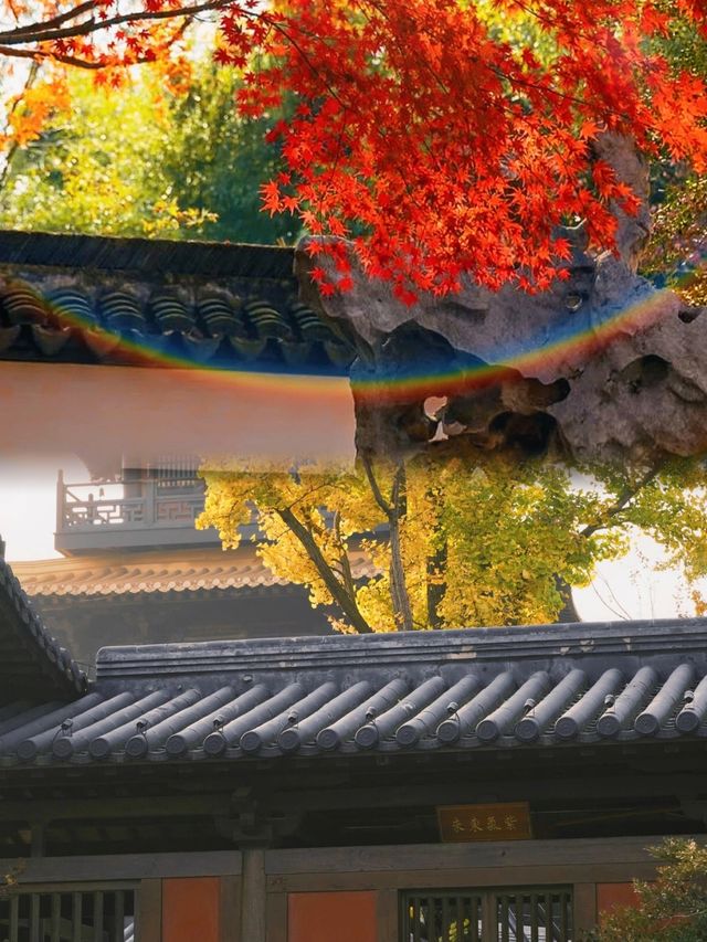 不是日本,真的真的是上海!! 不是日本,真的真的是上海!!