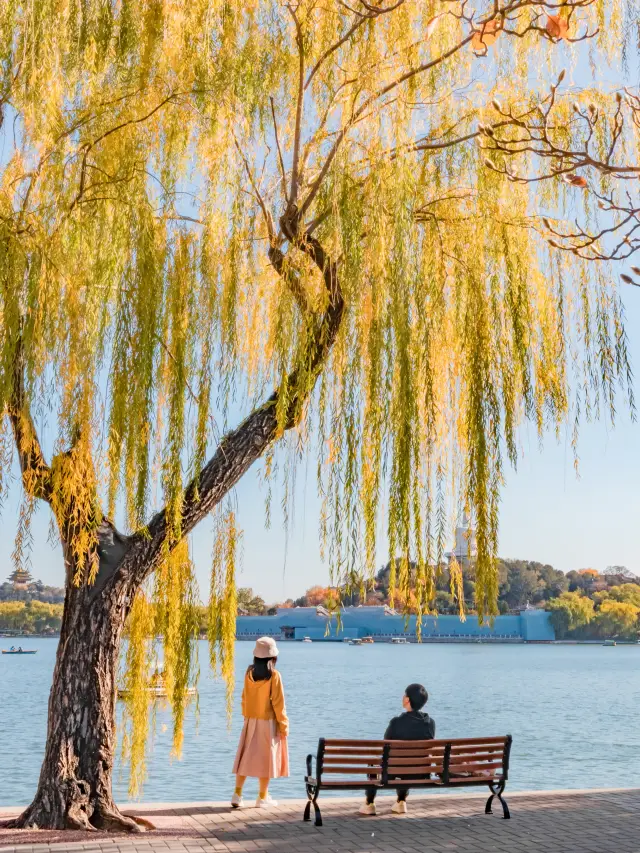 กรุงเทพฯ | พฤศจิกายน, ควรไปที่สวนสาธารณะ Beihai เพื่อชมแสงสีของทะเลสาบในฤดูใบไม้ร่วง