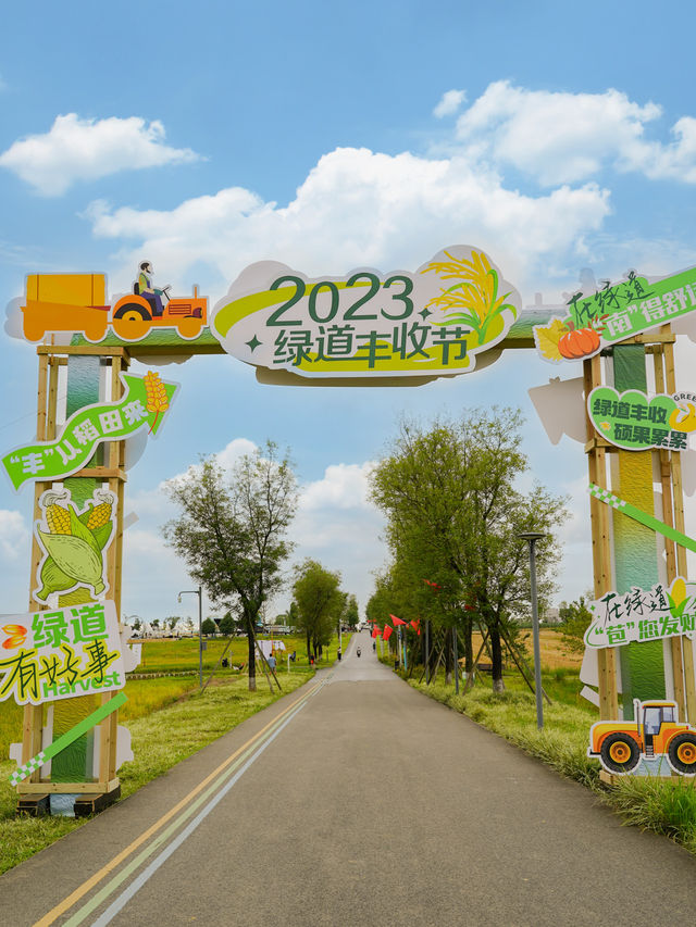 不用去大理！！成都公園就有童話稻田
