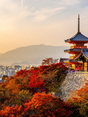 🥳低予算で京都を楽しむために必見🔥