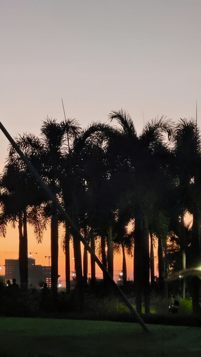 深圳灣紅樹林，大海的懷抱
