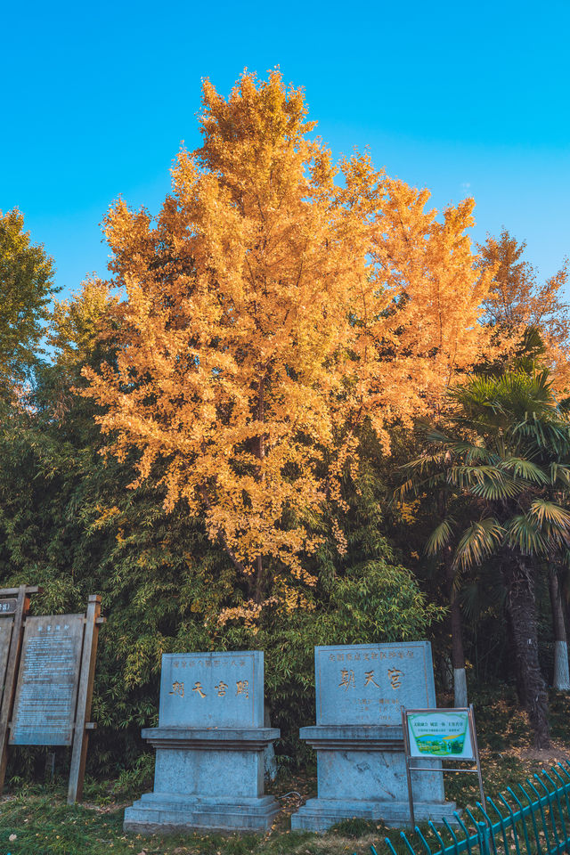 年度旅行地推薦：千年皇家地，城中寶藏園，南京朝天宮！