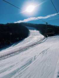 韓國滑雪推薦——龍平度假村
