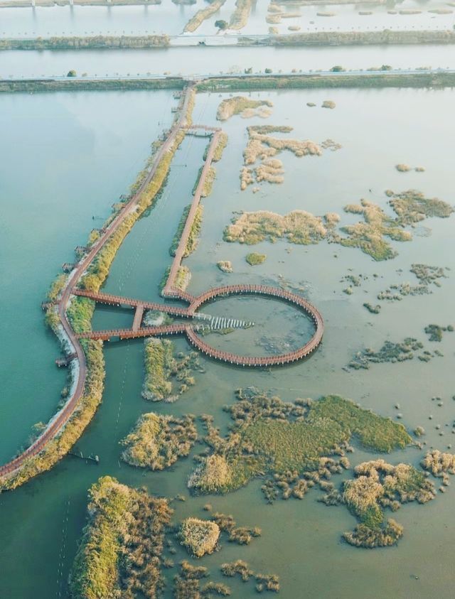 邂逅自然之美——海豐縣大湖鎮濕地公園