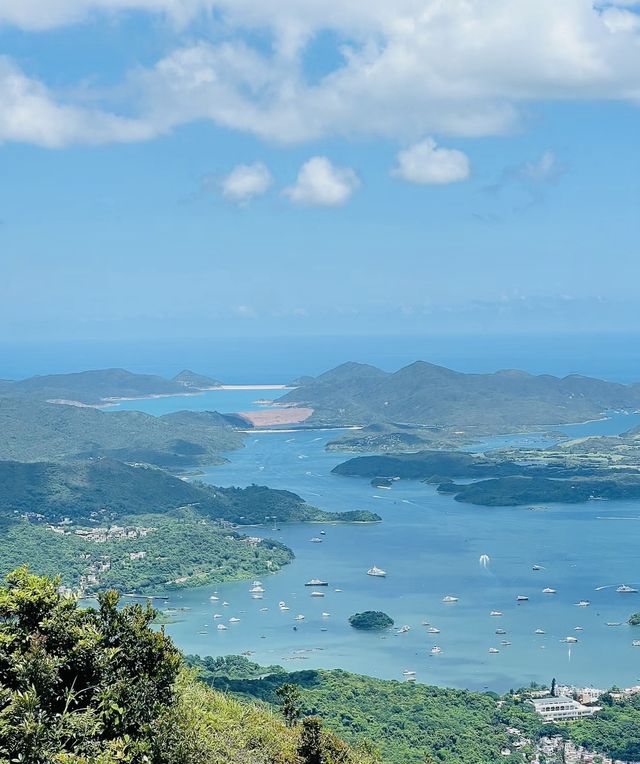 距離深圳5站地鐵在高山草地看無敵海景