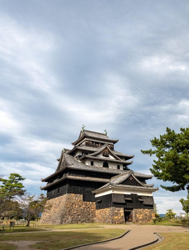 東京最強的自由行攻略，看這篇就夠了