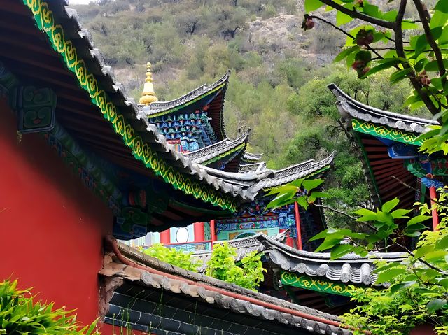 丽江黑龙潭公園：古城中的翠綠明珠