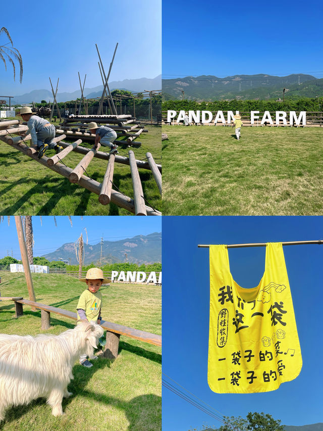 這個帳篷民宿比五星酒店有意思🫢