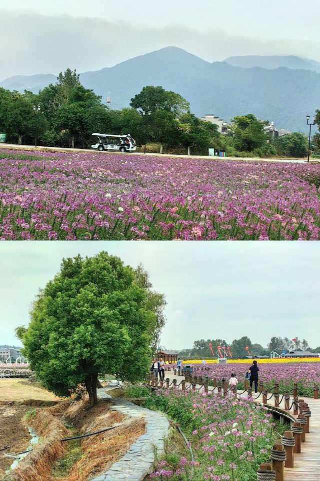 【南昌美景】梅嶺山下的安義古村