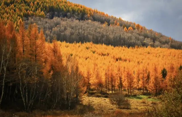 【Weekend Self-driving】Enjoy the beautiful autumn scenery around Beijing