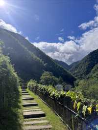 黃山腳下絕美新民宿坐擁竹林雲海，獨享私湯