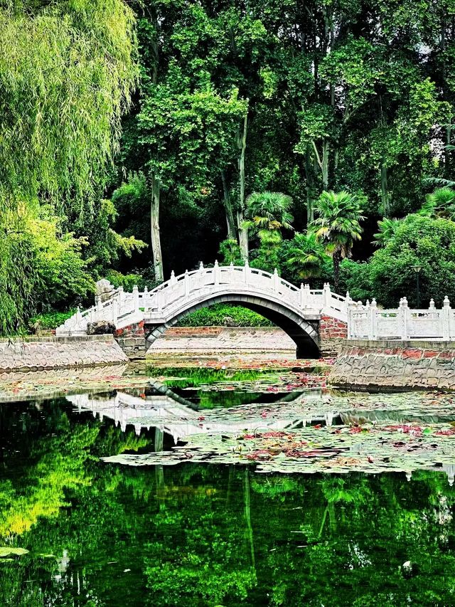 打卡鄭州100個免費遊玩景點—黃河迎賓館