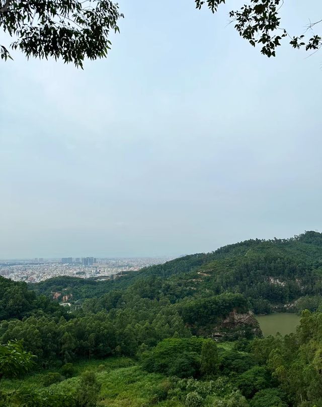 後悔晚知道！羊城“藍眼淚”不止石牙頂天坑，還有……