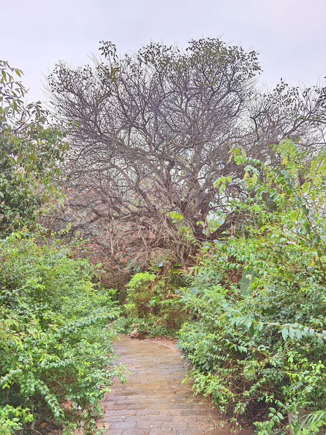 【康養聖地·人文興義】紅星廣場:荒蕪亦風景