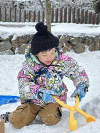 無需遠赴南方小土豆勇闖南國雪鄉攻略