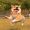 Foster_Lucas_24