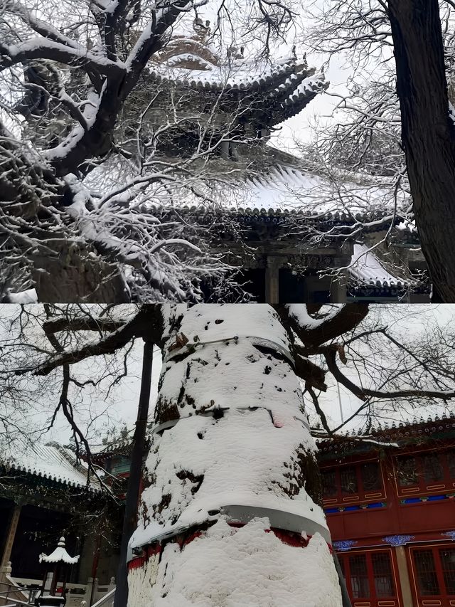 聊城山陕會館雪後遊玩體驗