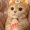 MiaHarmony