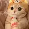 MiaHarmony