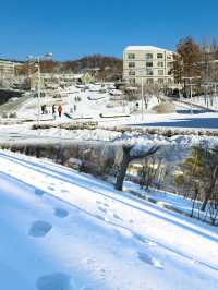 首爾旅行｜白雪覆蓋下的梨花女子大學