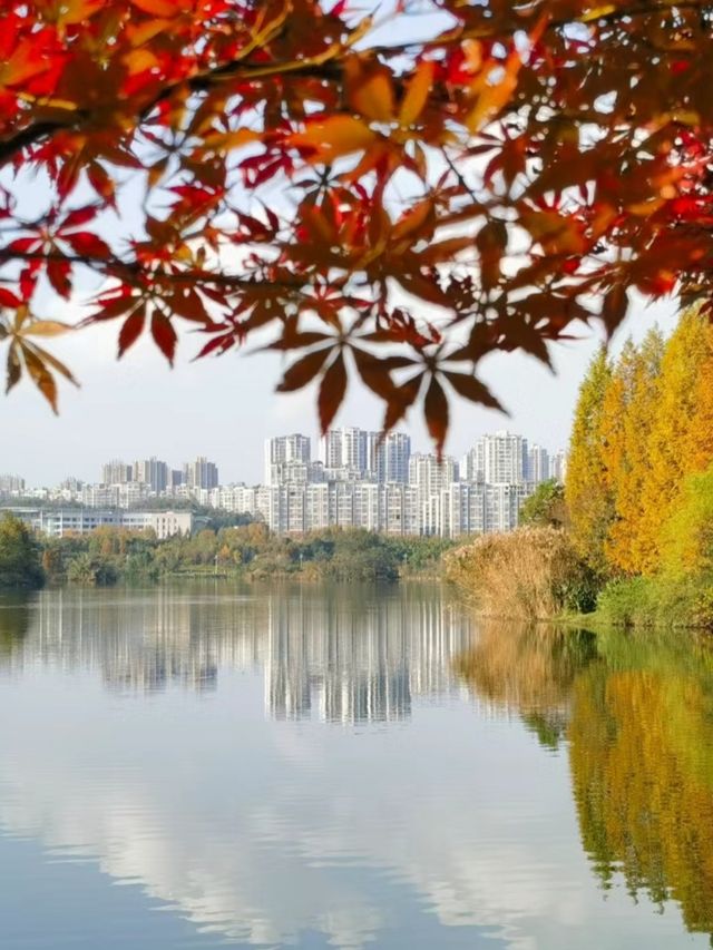 觀山湖公園真的太好逛了!!