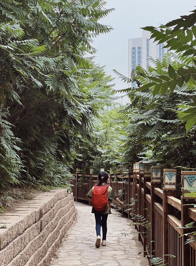 天津踏青｜不出遠門去徒步，爬山遊船餵天鵝的寶藏公園