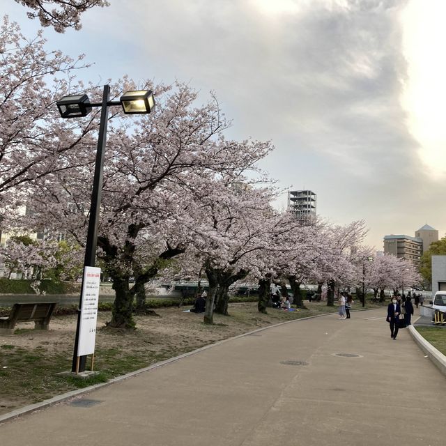 Hiroshima during Sakura 