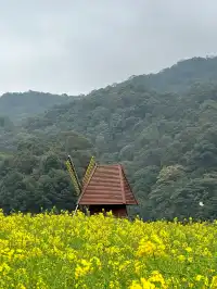 廣東天然氧吧-石門國家森林公園