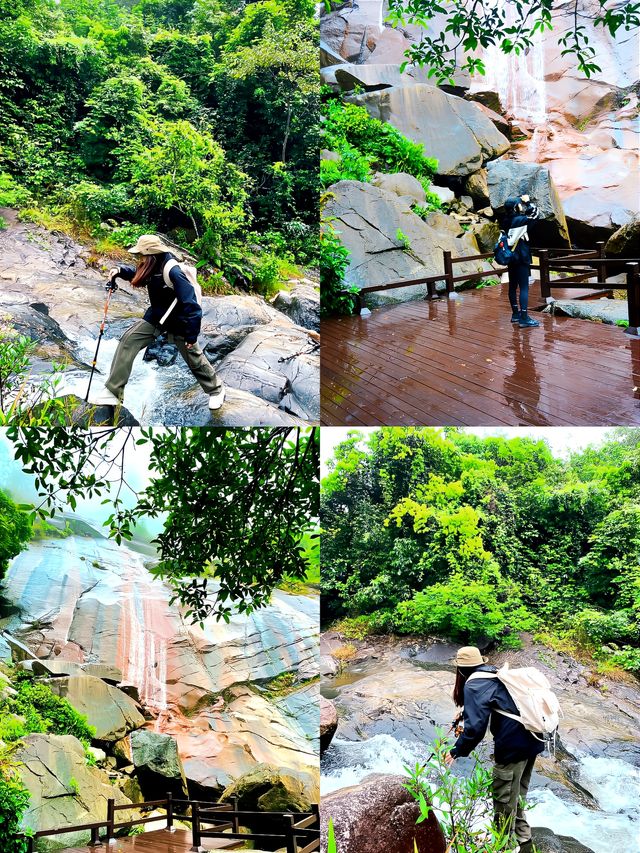 雨天徒步 ｜去山里聽雨 看迷霧森林